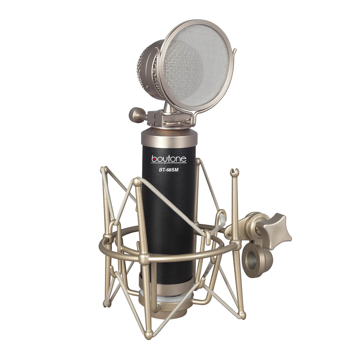 Boytone BT-68SM Professional Studio Recording Podcasting Condenser
